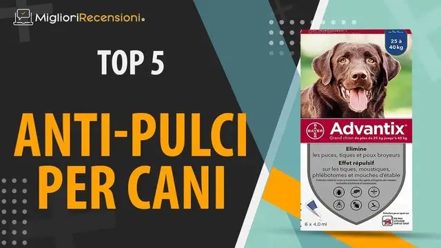 Video thumbnail for ⭐️ MIGLIORE PROTEZIONE DALLE PULCI PER CANI - Consigli e Guida all'acquisto (Comparativo 2021)