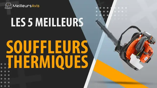 Video thumbnail for ⭐️ SOUFFLEUR THERMIQUE - Avis & Guide d'achat (Comparatif 2021)