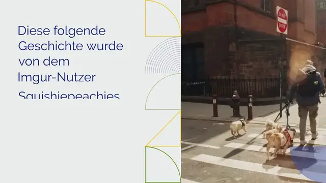 Video thumbnail for Nach Verlust: Herrchen will kein Haustier mehr, also sucht sich sein verbliebener Hund selbst eins