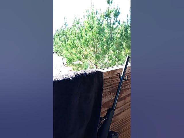 Video thumbnail for October 30, 2025