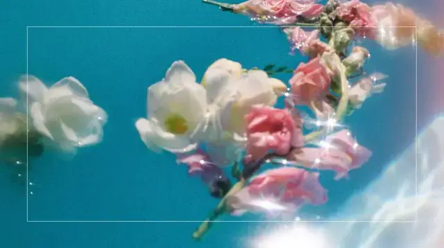 'Video thumbnail for What well-being is (and isn’t), according to neuroscience'