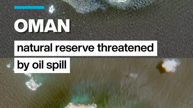 Video thumbnail for Oman nature reserve threatened by oil spill
