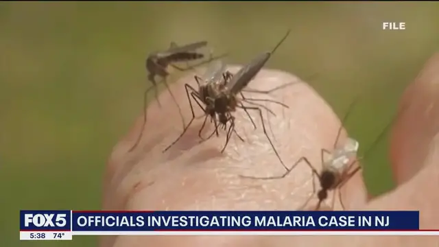 'Video thumbnail for NJ resident infected with malaria, state officials investigate'