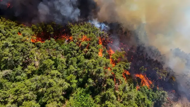Video thumbnail for Catastrophic wildfires destroy 10,000 hectares of forest in Syria's Latakia