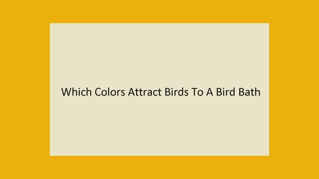Video thumbnail for Which Colors Attract Birds To A Bird Bath?