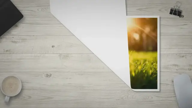 Video thumbnail for 3 Reasons Why Dog Pee Kills Your Grass (and How to Fix Your Lawn)