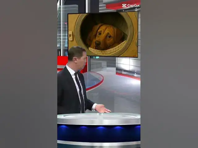 Video thumbnail for December 18, 2025