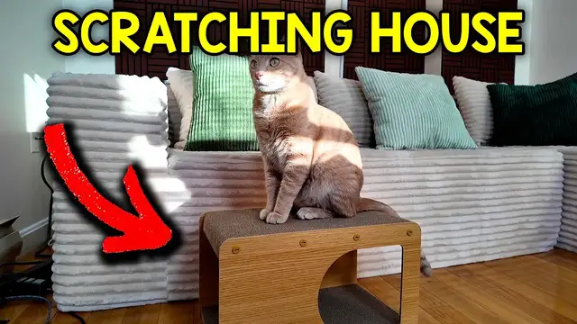 Video thumbnail for Does My Cat Like The EHEYCIGA Cardboard Cat Scratcher House