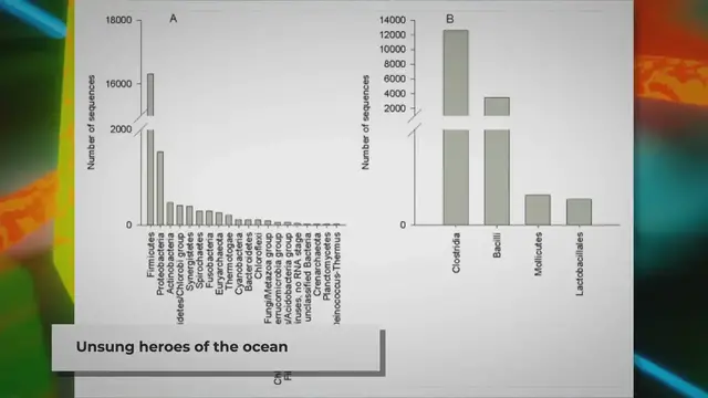 Video thumbnail for Types of Decomposers in the Ocean: A Brief Introduction
