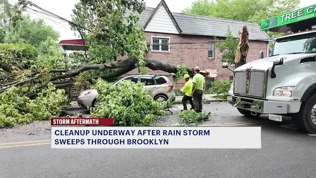 Video thumbnail for Storms leave downed trees and powerlines across Brooklyn