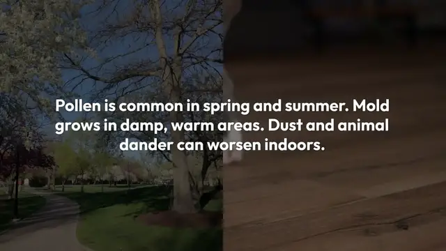 Video thumbnail for Seasonal Allergy Relief Strategies