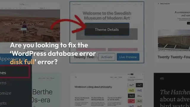 Video thumbnail for How to Fix the “WordPress Database Error Disk Full” Error