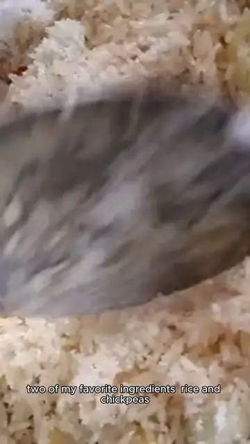 Video thumbnail for rice with chickpea recipe