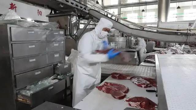 Video thumbnail for China: Smart technology transforms cattle farming in China.