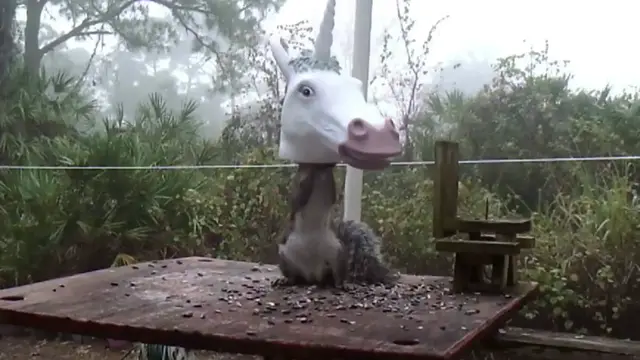 Video thumbnail for UNBELIEVABLE! Top 10 Most Ridiculous Products You Won't Believe Are On Amazon #amazon