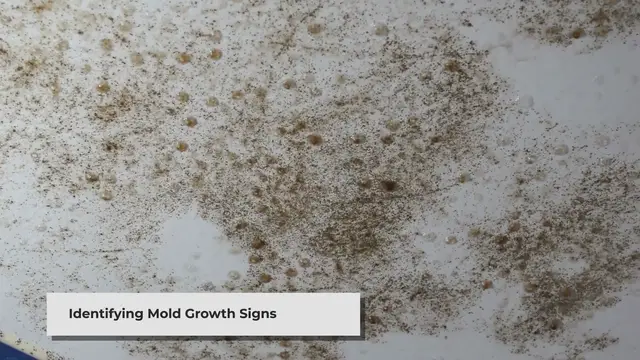 'Video thumbnail for How to Remove and Kill Mold'