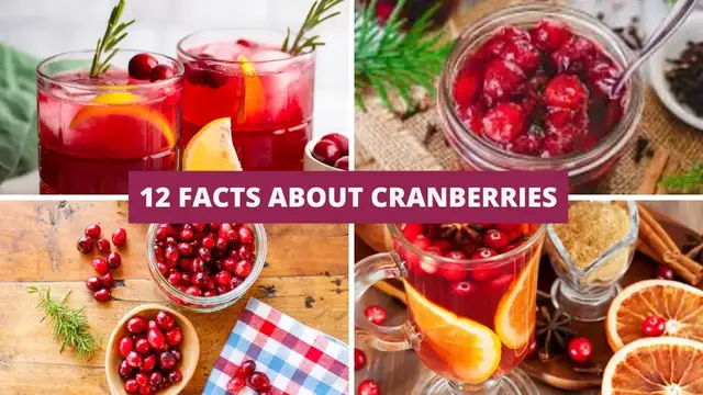 Video thumbnail for 12 Facts about Cranberries