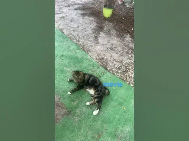 Video thumbnail for September 20, 2025