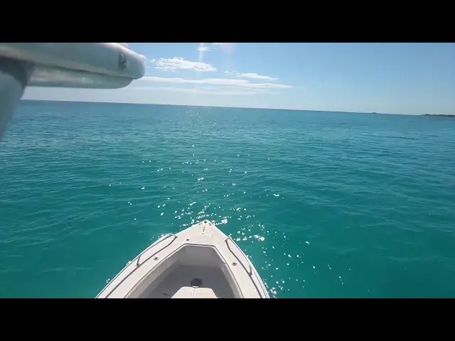 Video thumbnail for How to Install a Seachoice Platform Ladder on a Boat Transom