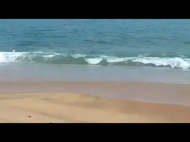 Video thumbnail for Beautiful Sea