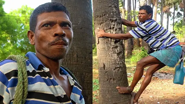 'Video thumbnail for DANGEROUS SRI LANKAN FOOD!! Toddy Tapper RISKS LIFE for Drink + Street Food in Sri Lanka!'