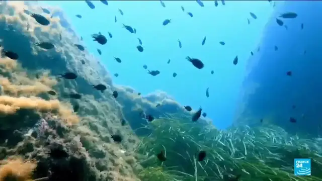 'Video thumbnail for Key oceans treaty crosses threshold to come into force'