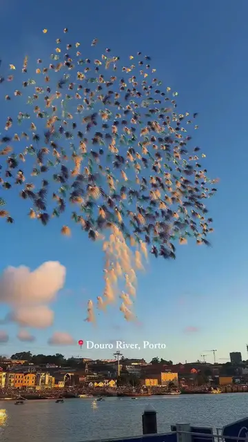 Video thumbnail for One Page by Cai Guo Qiang Over the Douro River at Sunset