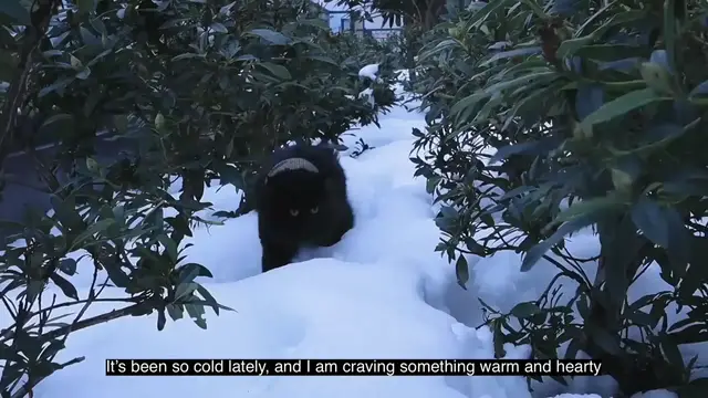 Video thumbnail for 【Cook with me】Golden Chicken Broth  2 ways to enjoy  easy Asian recipes   Tiffycooks Vlog(720P HD)