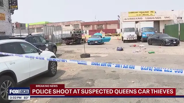 Video thumbnail for NY News update: Cops shoot suspected car theives; Weinstein verdict watch