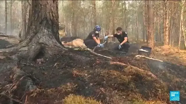 Video thumbnail for Volunteer firefighter admits to starting a fire in the Fontainebleau forest