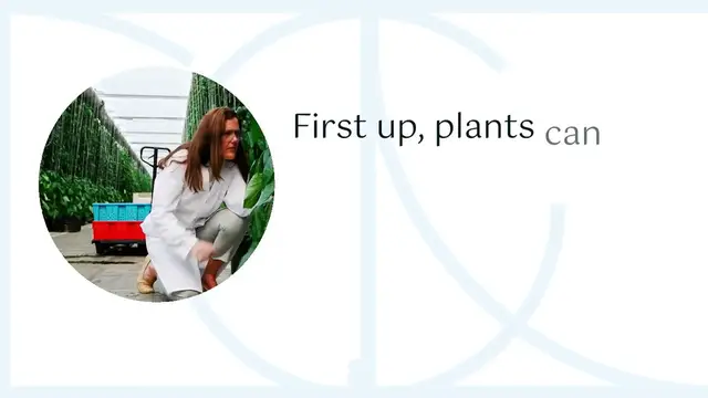 'Video thumbnail for The Secret Life of Plants 3 Amazing Plant Facts that would Blow your Mind!'