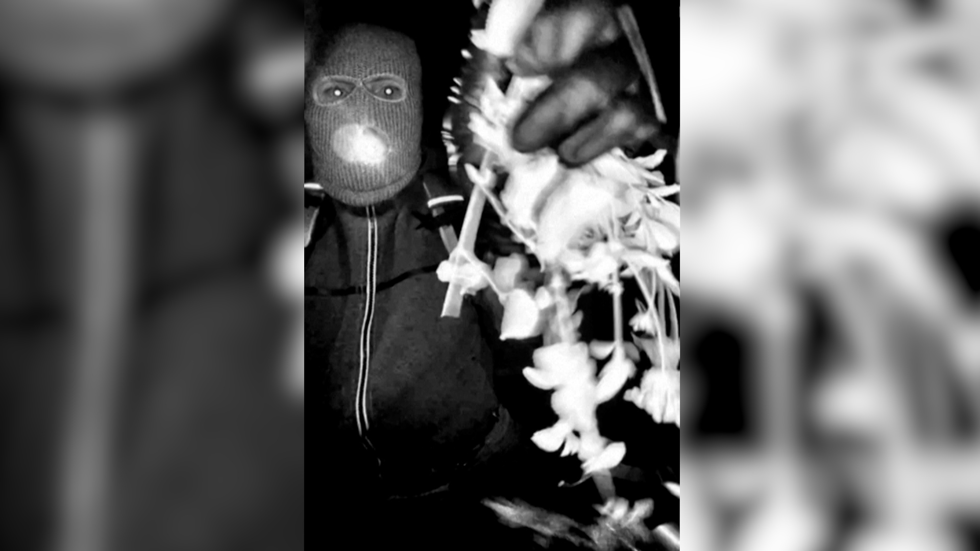 Video thumbnail for FBI releases images of suspect in Guthrie abduction