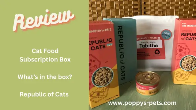 Video thumbnail for What's in The Box? Adults & Senior Cat Food