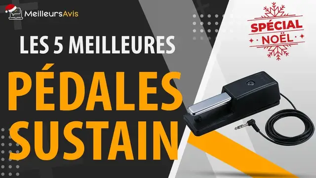 Video thumbnail for 🎁 MEILLEURE PEDALE SUSTAIN - NOËL 2022 (Comparatif & Guide d'achat)