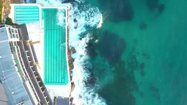 Video thumbnail for Playful Seal Chases Huge School Of Salmon Off Bondi Beach | Wild-ish TV