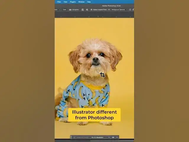 Video thumbnail for Illustrator vs Photoshop: Vector Graphics Explained! #shorts