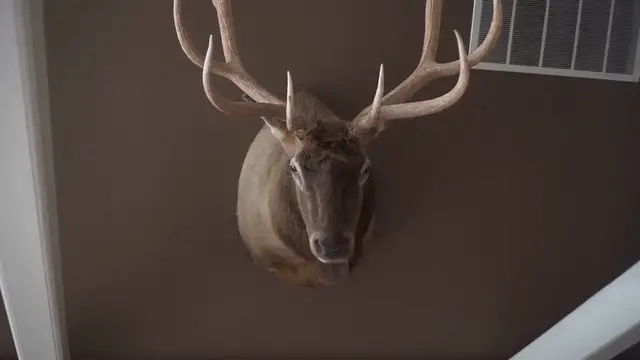 Video thumbnail for Trending_Wall_Hanging_Decor