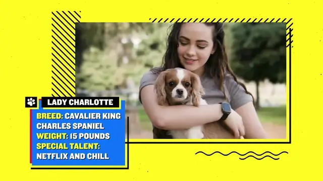 'Video thumbnail for Cobra Kai STAR Mary Mouser Talks FIGHT SCENES & Shows Off Her CUTE Dog!'
