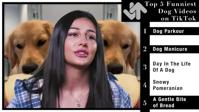 'Video thumbnail for Dog Expert ReRanks The Funniest Dog Videos On TikTok'