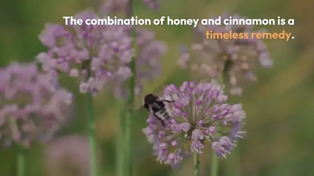 Video thumbnail for Honey and Cinnamon Health Benefits