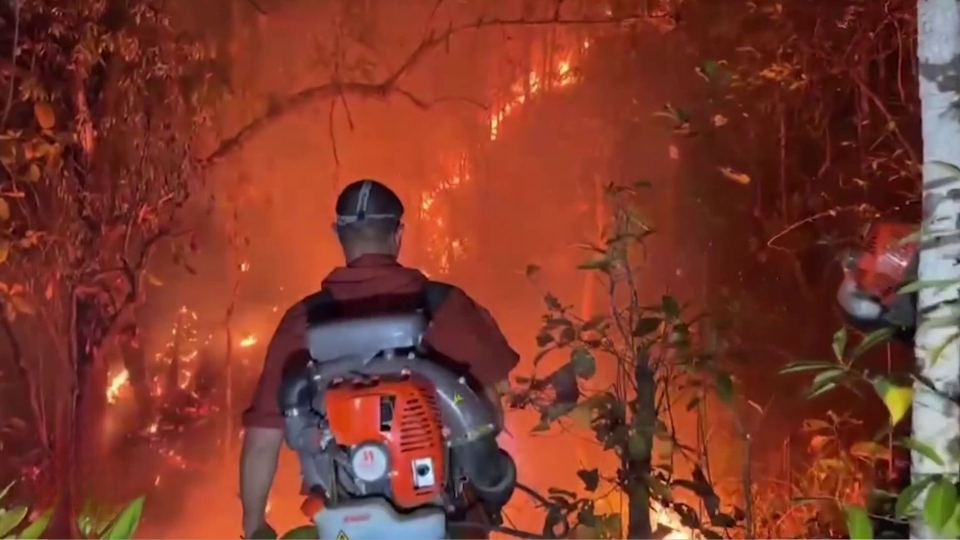 Video thumbnail for Northern Thailand wildfires: Chiang Mai choked by toxic smoke as volunteers fight on frontlines