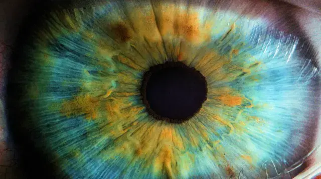'Video thumbnail for The mystery at the heart of consciousness'