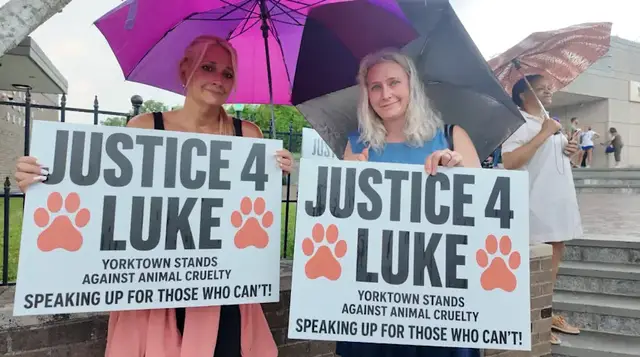 Video thumbnail for Yorktown supporters rally for dog owner as shooting suspect returns to court