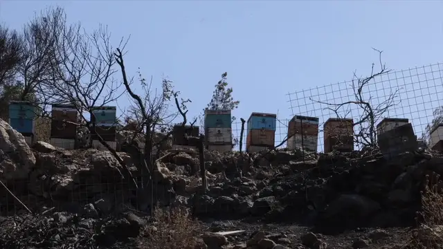 Video thumbnail for Greece: Wildfire leaves hotel, vehicles destroyed on Greece's Crete.