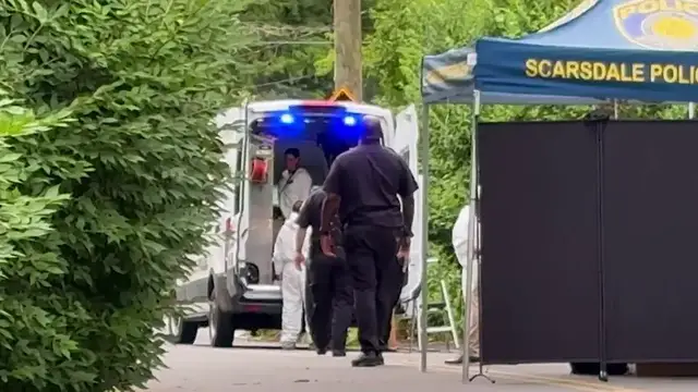 Video thumbnail for 26-year-old man accused of killing his mom inside Scarsdale home
