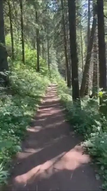 Video thumbnail for 🙏 Empieza Tu Día con Dios: Oraciones de la Mañana para Fe y Esperanza 🌞 #shorts |Lampara a mis pies