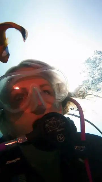 Video thumbnail for Curious Saddleback Clownfish Inspects Diver in Lembeh Strait