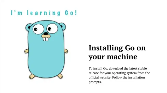 Video thumbnail for The Easy And Simple Guide To Go Programming Language | Basics to Advanced Features