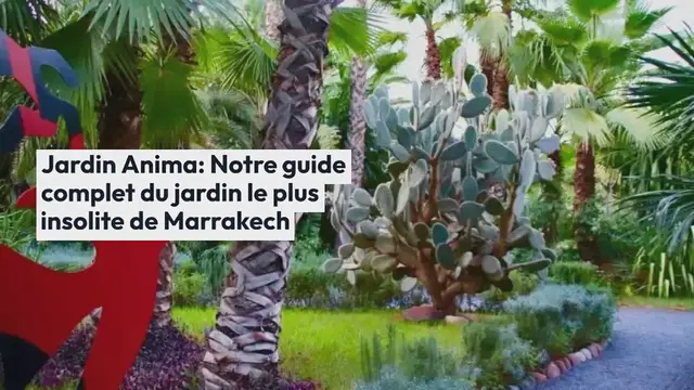 Video thumbnail for Jardin Anima : Notre guide complet du jardin le plus insolite de Marrakech (2024)