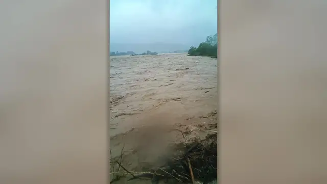 Video thumbnail for Hero Villagers Jump Into Floods To Rescue Cows From Being Swept Away | Wild-ish TV